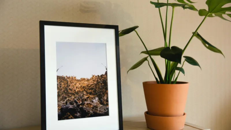 Khung lồng ảnh làm quà tặng bạn gái ngày sinh nhật