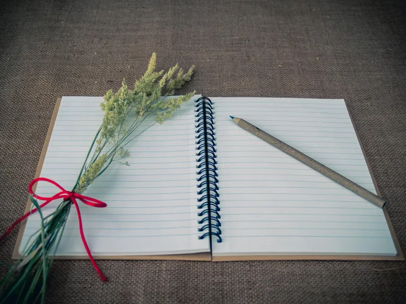 Sổ tay thiết kế bìa troll hài hước cho sinh nhật