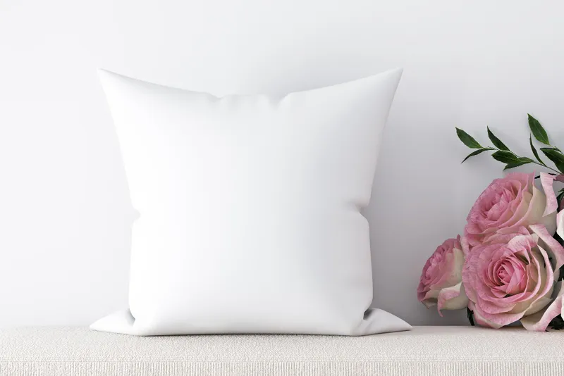 Gối ôm in ảnh dìm dành riêng cho hội bạn thân