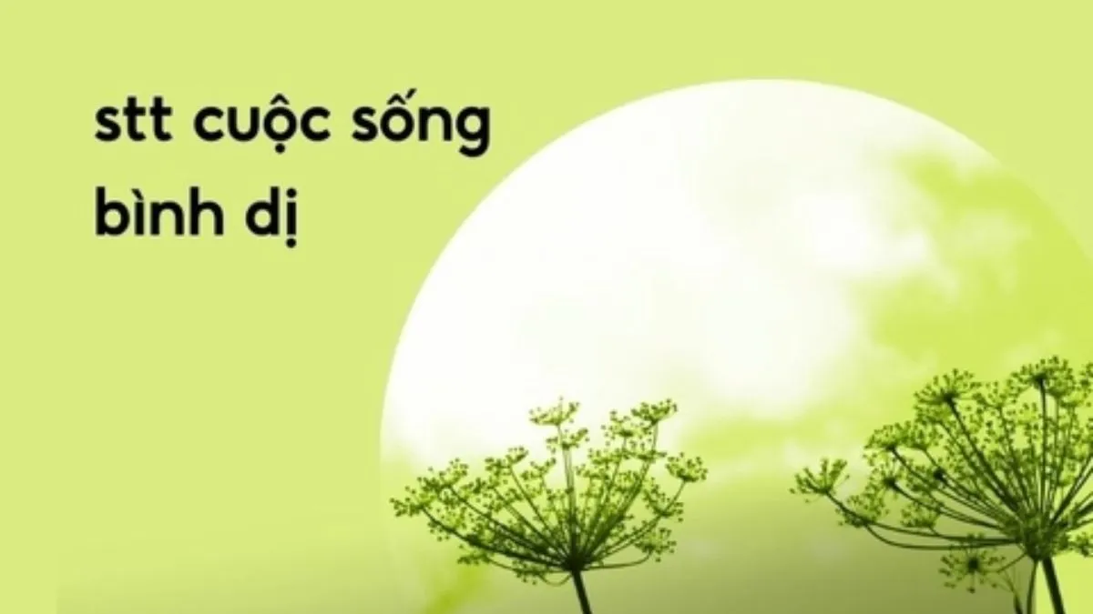 STT cuộc sống an nhiên bằng tiếng Anh