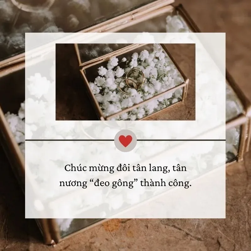 stt di dam cuoi nguoi ta hinh minh hoa 1