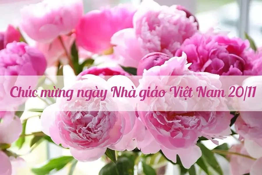 Mẫu thiệp chúc mừng ngày 20 11 đẹp đậm chất nhân văn