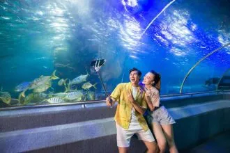 Lưu giữ những khoảnh khắc đáng nhớ bên người mình thương tại VinWonders