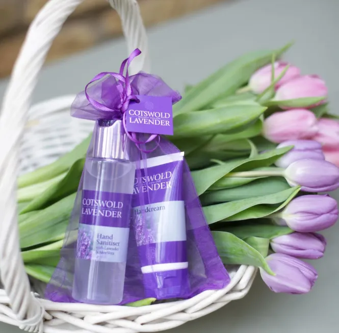 Bộ đôi xịt khuẩn tay và kem dưỡng da tay chuyên sâu giúp bảo vệ đôi bàn tay cô giáo