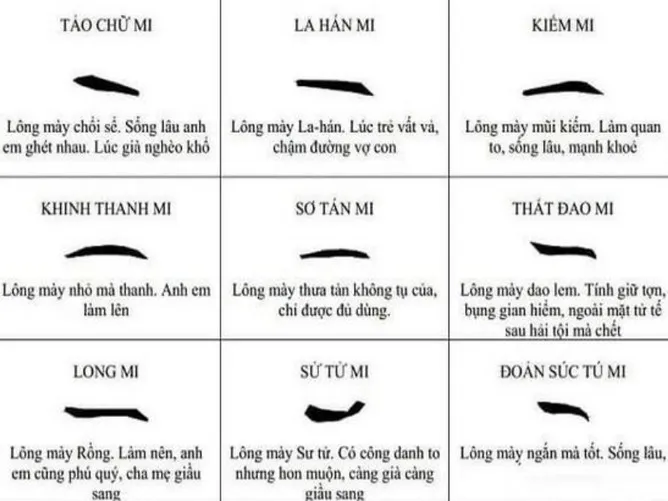 Xem tướng lông mày phụ nữ