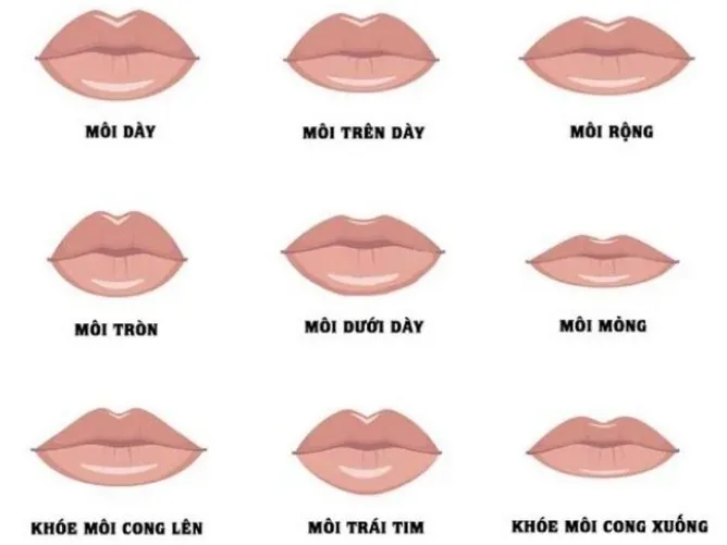 xem dáng môi phụ nữ