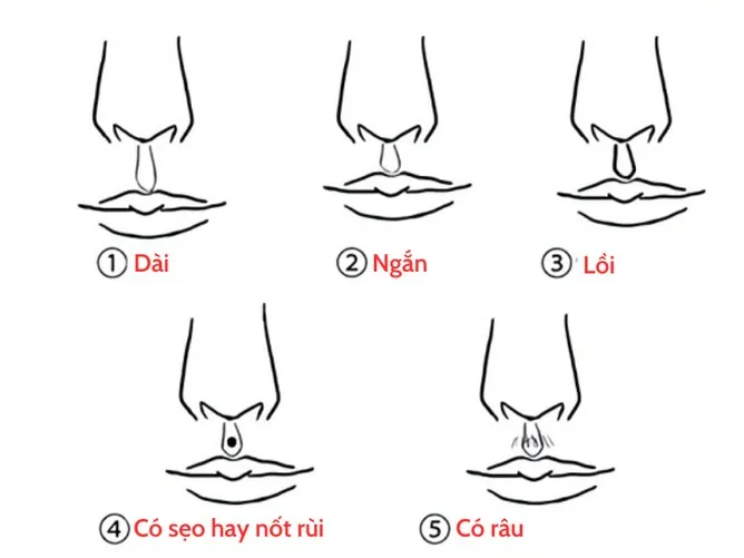 xem tướng nhân trung phụ nữ