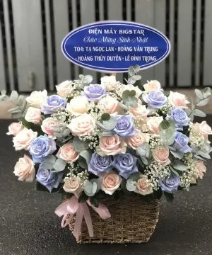 Lẵng hoa hướng dương kết hợp hoa lan hồ điệp