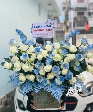 Lẵng hoa cẩm tú cầu xanh mát mắt quý phái