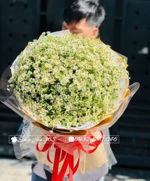 Bó hoa hồng Ecuador nhập khẩu trực tiếp