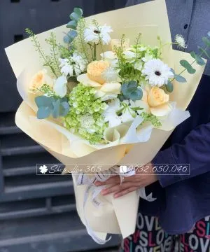 Bó hoa hồng kem búp tròn đều tăm tắp