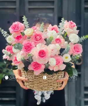 Lẵng hoa hồng môn đỏ mang ý nghĩa may mắn