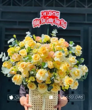 Kệ hoa lan hồ điệp tím trắng quy mô lớn