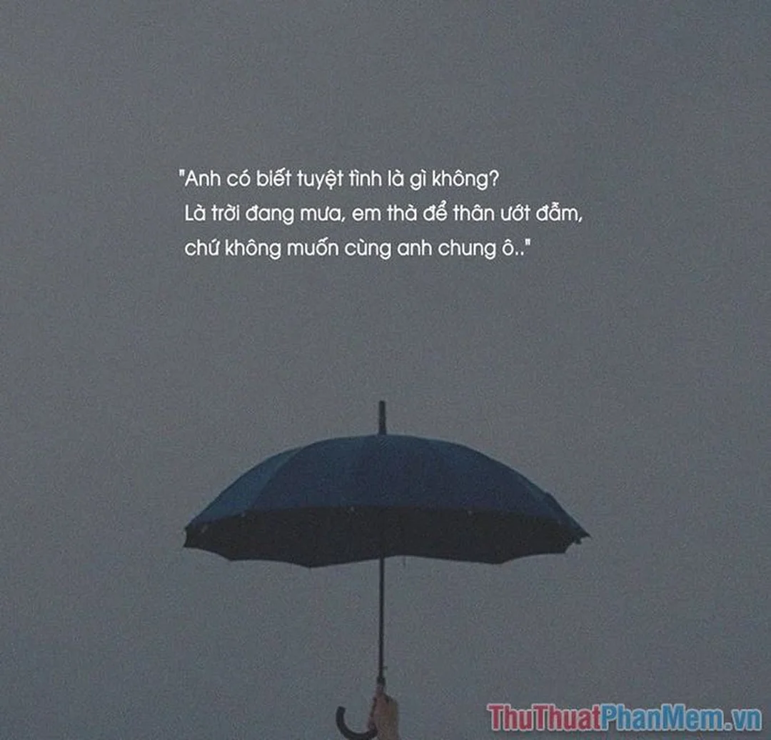 cách viết caption có không giữ mất đừng tìm hay