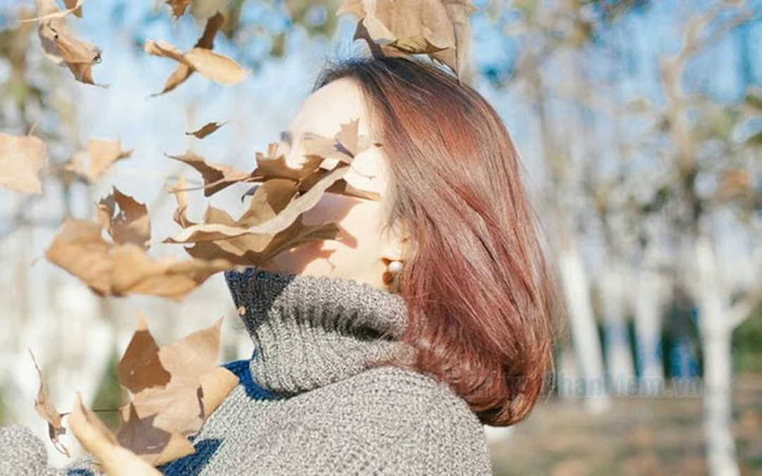 caption có không giữ mất đừng tìm đăng facebook hiệu quả