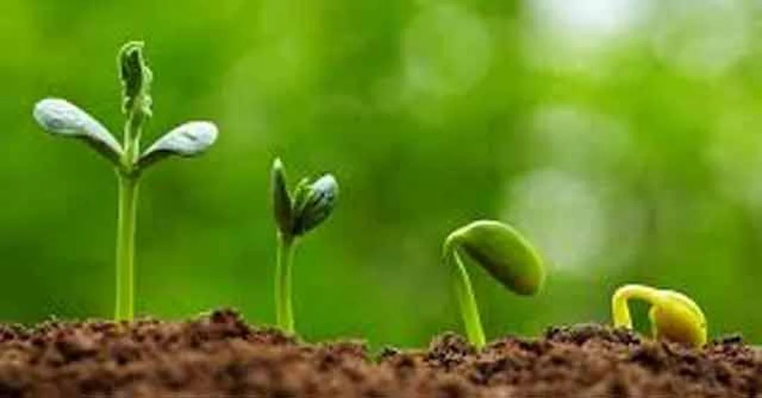 Hình ảnh minh họa stt châm ngôn cuộc sống với nền chữ truyền cảm hứng