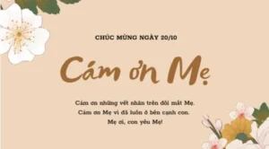 loi chuc 20 10 cho me vo trong ngay phu nu viet nam