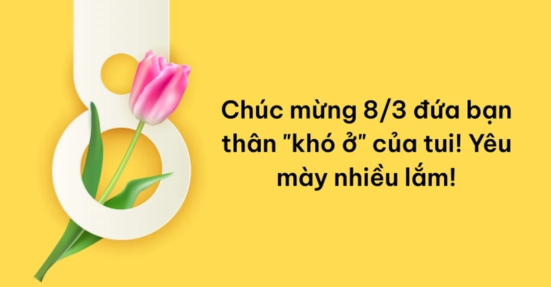 lời chúc 8 3 cho phụ nữ tra nhanh theo từng nhóm người nhận