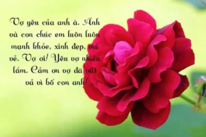 loi chuc mung sinh nhat vo ngan gon y nghia ngot ngao