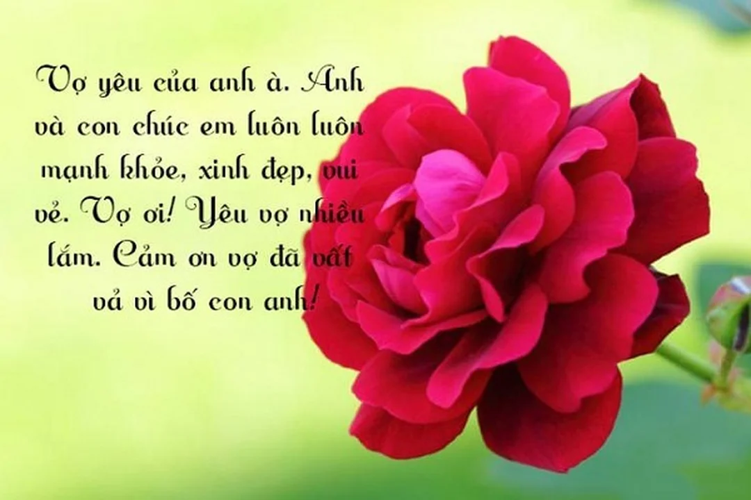 lời chúc mừng sinh nhật vợ ngắn gọn ý nghĩa ngọt ngào