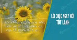 loi chuc ngay moi hay va y nghia hinh minh hoa 1