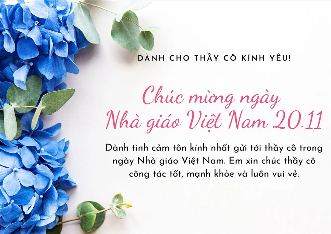 Lời chúc thầy cô giáo hay và ý nghĩa