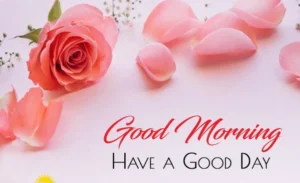 nhung loi chuc tieng anh hay theo tung dip pho bien