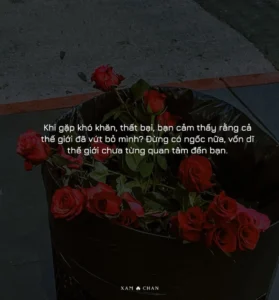 stt buong xuoi tat ca hinh minh hoa 5