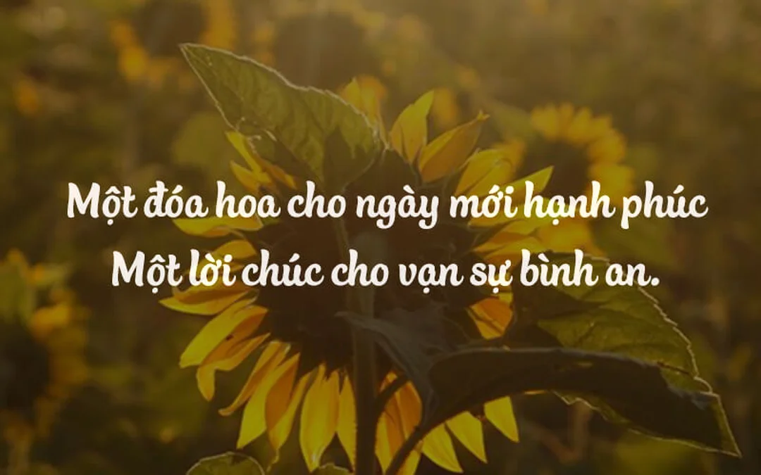 stt cầu bình an cho gia đình dùng cho lời chúc may mắn