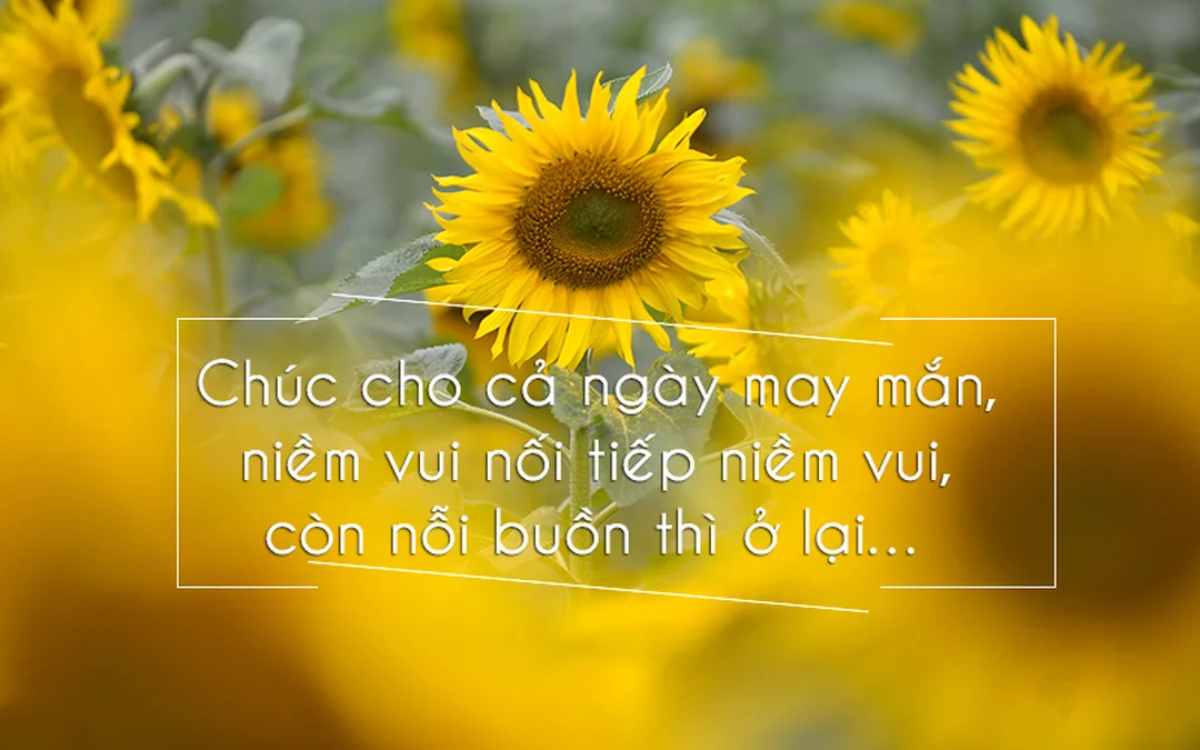 stt cầu bình an cho gia đình dùng trên thiệp và caption