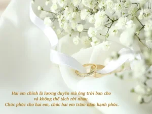 stt chuc em gai di lay chong hinh minh hoa 1
