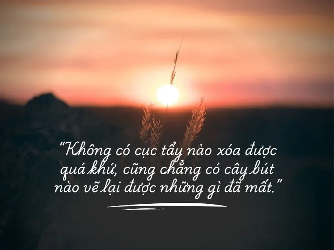 stt có không giữ mất đừng tìm trong tình yêu sâu sắc