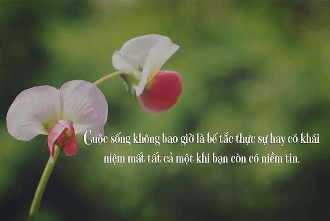 stt công việc áp lực cuộc sống