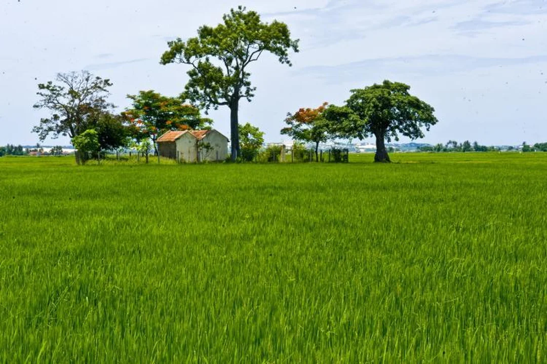stt cuộc sống bình dị không bị sến