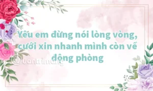 stt di dam cuoi nguoi ta hinh minh hoa 1