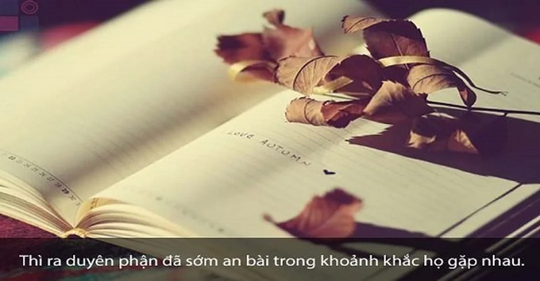 stt hay về duyên phận cho khoảnh khắc yêu mà chưa thể gọi tên