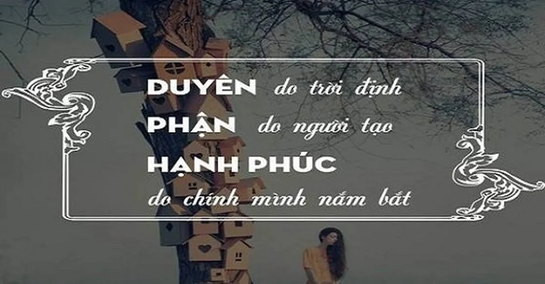 stt hay về duyên phận cho người biết thương mà không muốn ép duyên