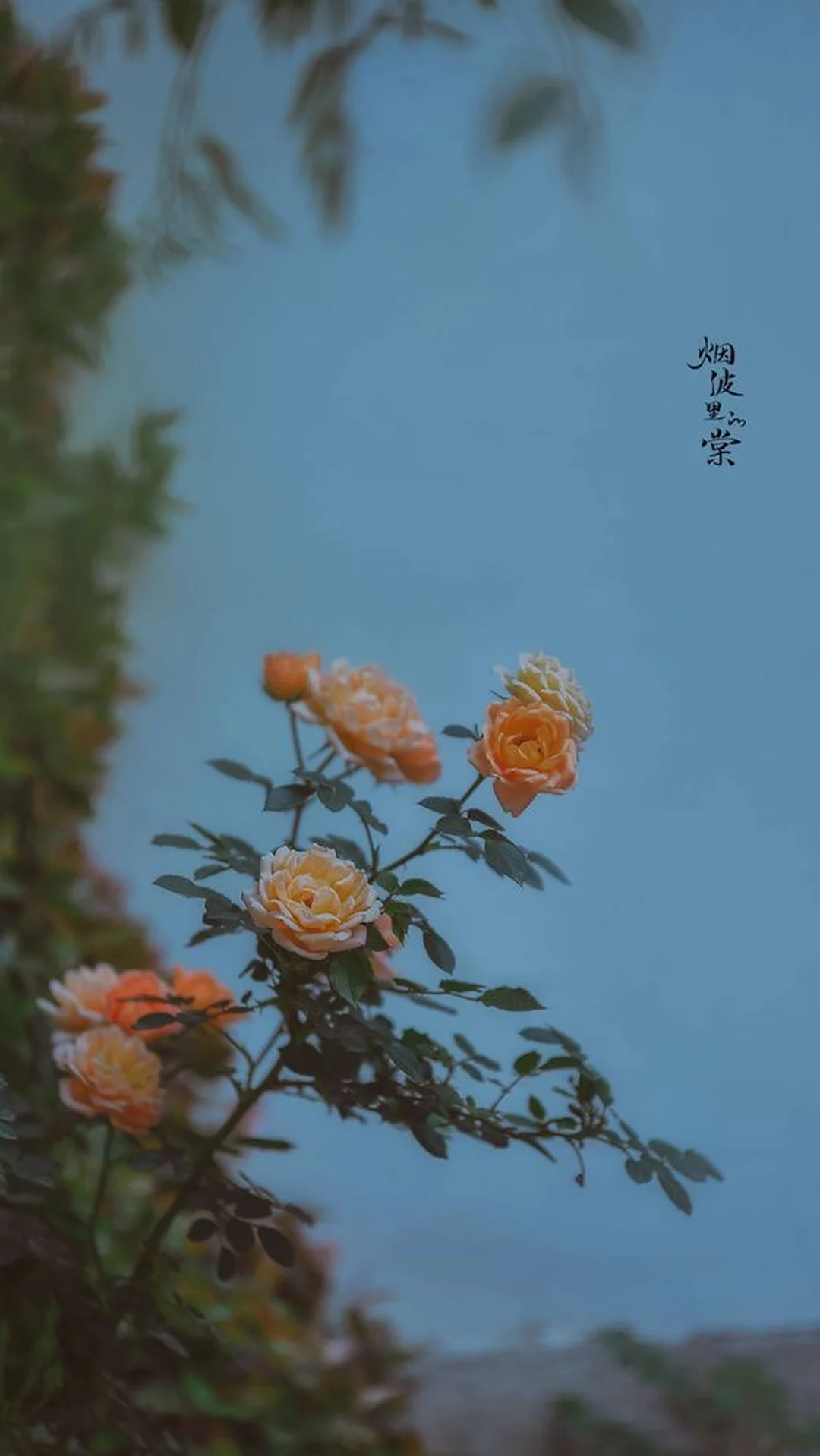 stt mỉa mai cuộc đời bon chen