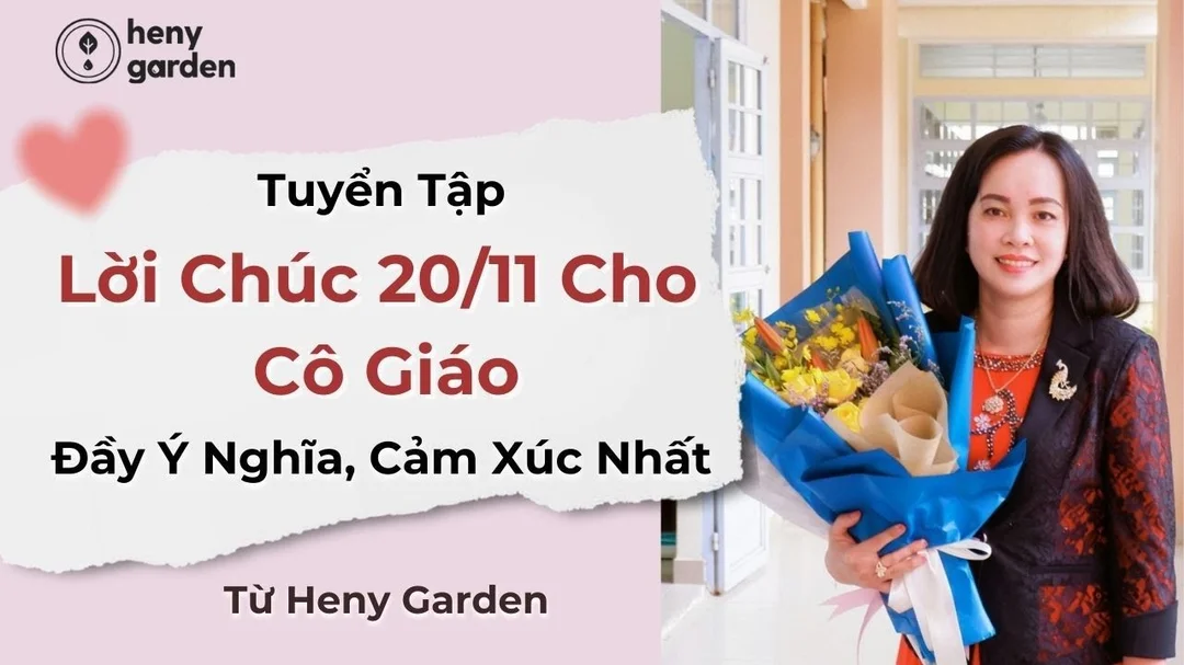 Lời Chúc Cô Giáo Ngày 20 11 Hay, Ngắn Gọn & Ý Nghĩa Nhất 2026 6 Video: lời chúc cô giáo ngày 20 11
