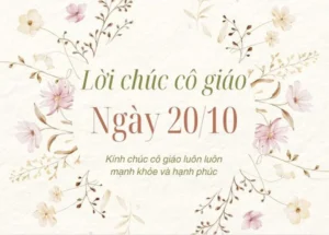 loi chuc co giao ngay 20 10 danh cho co giao diu dang